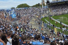 IMG-20260921-WA0088