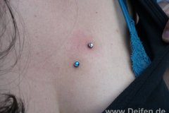 BlueLIons08049